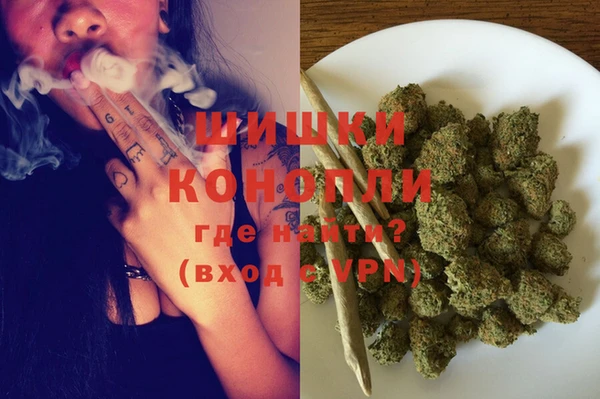 прущие крисы Абаза