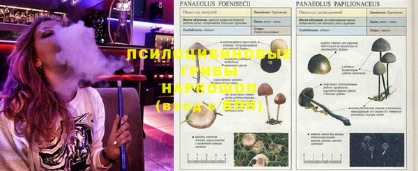 гашиш Алексин