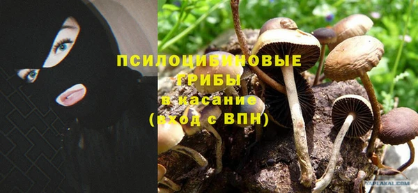 бошки Алзамай
