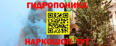apvp Рыбинск