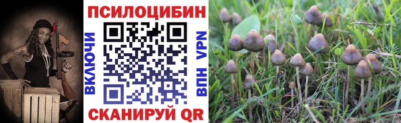 Галлюциногенные грибы Cubensis  Прохладный 
