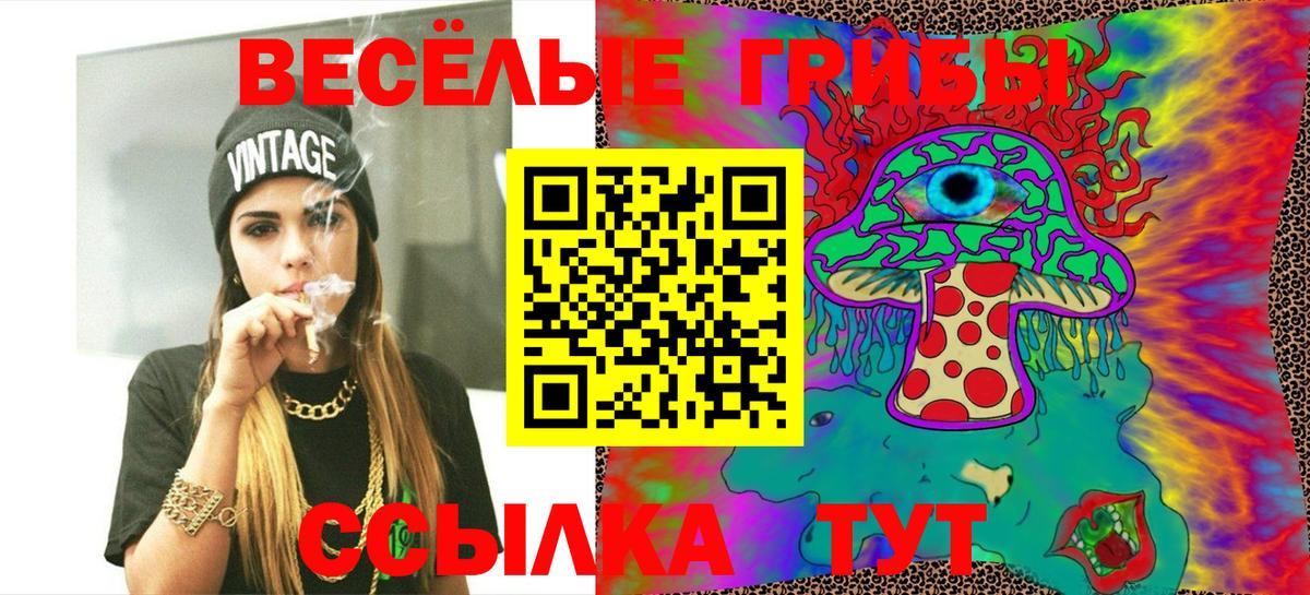 Прохладный  Псилоцибиновые грибы Psilocybe  Вход с VPN 