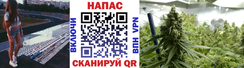 Марихуана тримм Прохладный